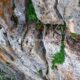014 Via Ferrata Pita 100 Caños K3 Villanueva Trabuco Rocjumper
