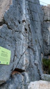 Aceeso al puente tibetano - Vía Ferrata Infantil Benaoján - RocJumper