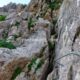 015 Via Ferrata Pita 100 Caños K3 Villanueva Trabuco Rocjumper