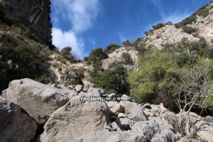 Tartera - Ferran desde Grau de Sadidorta - Sadernes - RocJumper
