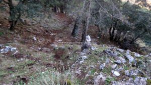 Retorno - Vía Ferrata La Pista o 101 Caños - Villanueva del Trabuco - RocJumper