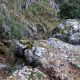 021 Via Ferrata Pita 100 Caños Villanueva Trabuco Rocjumper