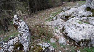 Hitos de piedras retorno - Vía Ferrata Hondonero o La Bola - Villanueva de Rosario - RocJumper