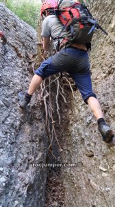 Paso equipado árbol - Travesía Agulles i Frares Encantats - Montserrat - RocJumper