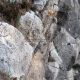 032 Via Ferrata Monte Hacho Lora Estepa Rocjumper