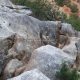 033 Barranco Puerto Ramos Antequera Rocjumper