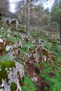 Enlace/Escape - Parte 2 - Tramo 1 - Vía Ferrata La Pita - Villanueva del Trabuco - RocJumper