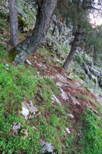 Enlace - Tramo 2 - Vía Ferrata La Pita - Villanueva del Trabuco - RocJumper