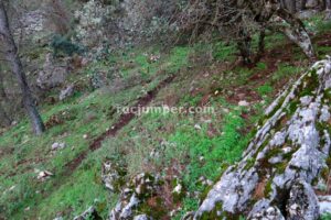 Enlace/Escape - Tramo 3 - Vía Ferrata La Pita - Villanueva del Trabuco - RocJumper