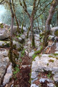 Retorno - Tramo 3 - Vía Ferrata La Pita - Villanueva del Trabuco - RocJumper