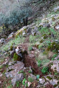 Retorno - Tramo 3 - Vía Ferrata La Pita - Villanueva del Trabuco - RocJumper