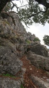 Camino retorno - Vía Ferrata Sierra del Hacho - Gaucín - RocJumper