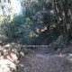071 Travesia Agulles Frares Encantats Montserrat Rocjumper