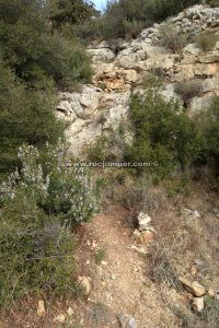 Bifurcación sendero - Barranc del Boter - Oliana - RocJumper