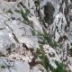 028 Via Ferrata Pueblos Moclin Rocjumper