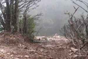 Coll de Salamandra - Torrent de la Cueva P-Petit - Montserrat - RocJumper