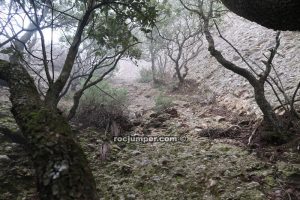 Canal Inicio - Torrent de la Cueva P-Petit - Montserrat - RocJumper