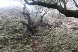 Canal inicio - Torrent de la Cueva P-Petit - Montserrat - RocJumper