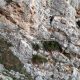 039 Via Ferrata Caminito Rey Chorro Rocjumper