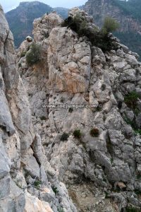 Puente Nepalí - Vía Ferrata El Chorro o Caminito del Rey - RocJumper