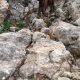 049 Via Ferrata Caminito Rey Chorro Rocjumper