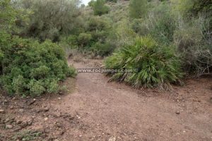 Cruce con sendero - Barranco Raja Ancha - Pizarra - RocJumper