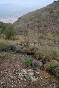 Bajada al barranco - Barranco Raja Ancha - Pizarra - RocJumper