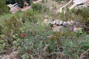 Retorno - Vía Ferrata La Piqueta - Espadilla - RocJumper