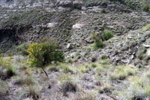 Retorno - Barranco Castillejos de Luna - Pizarra - RocJumper