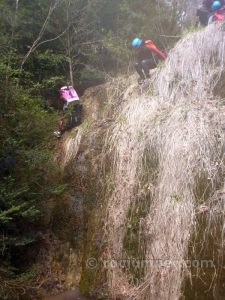 Destrepes - Torrent de Vilacireres por Torrent de Cal Pelegrí - Sant Llorenç de Morunys - RocJumper