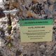 020 Via Ferrata Alfarnatura Alfarnatejo Rocjumper