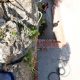 023 Via Ferrata Alfarnatura Alfarnatejo Rocjumper