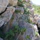 032 Via Ferrata Alfarnatura Alfarnatejo Rocjumper