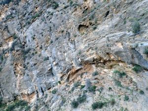 Puente Mono - Vía Ferrata Callosa de Segura - RocJumper