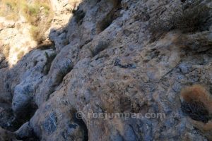 R8 - Barranco de la Mina - Albuñol - RocJumper