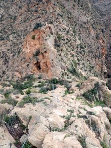 Puente mono - Vía Ferrata Callosa de Segura - RocJumper