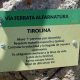 067 Via Ferrata Alfarnatura Alfarnatejo Rocjumper