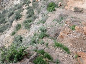 Destrepe - Vía Ferrata Callosa de Segura - RocJumper