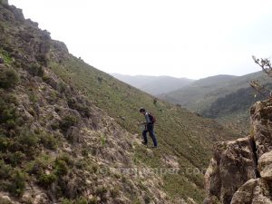 Puente Tibetano - Vía Ferrata Castillo de Locubín - RocJumper