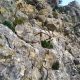 020 Via Ferrata Archidona Rocjumper