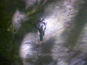 R5 - Barranc Can Coll - Campelles - RocJumper