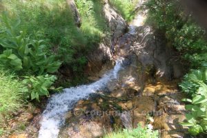 Descenso - Torrent de la Coma del Gispet - Queralbs - RocJumper