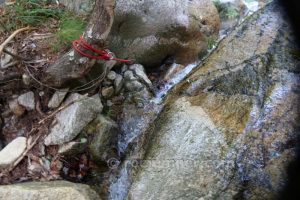 R19 - Torrent de la Coma del Gispet - Queralbs - RocJumper