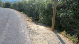 Sendero descenso - Barranc de les Anelles - Céret - RocJumper