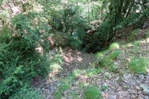 Afluente opcional - Torrent de Bosoms - Guixers - RocJumper