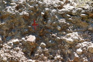 Cruz roja - Torrent de Bosoms - Guixers - RocJumper