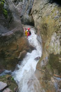 Destrepes - Barranc Roi - Castell-Estaó - RocJumper