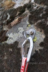 L4 - Vía de la Primavera - Dent d'en Rosell - Queralbs - RocJumper