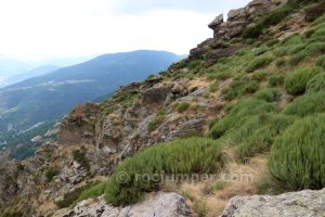 Retorno hacia la cresta - Vía de la Primavera - Dent d'en Rosell - Queralbs - RocJumper