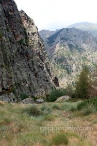 Rampa herbosa - Vía de la Primavera - Dent d'en Rosell - Queralbs - RocJumper